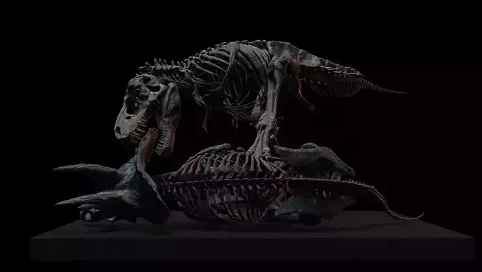 Tyrannosaurus vs triceratops v2