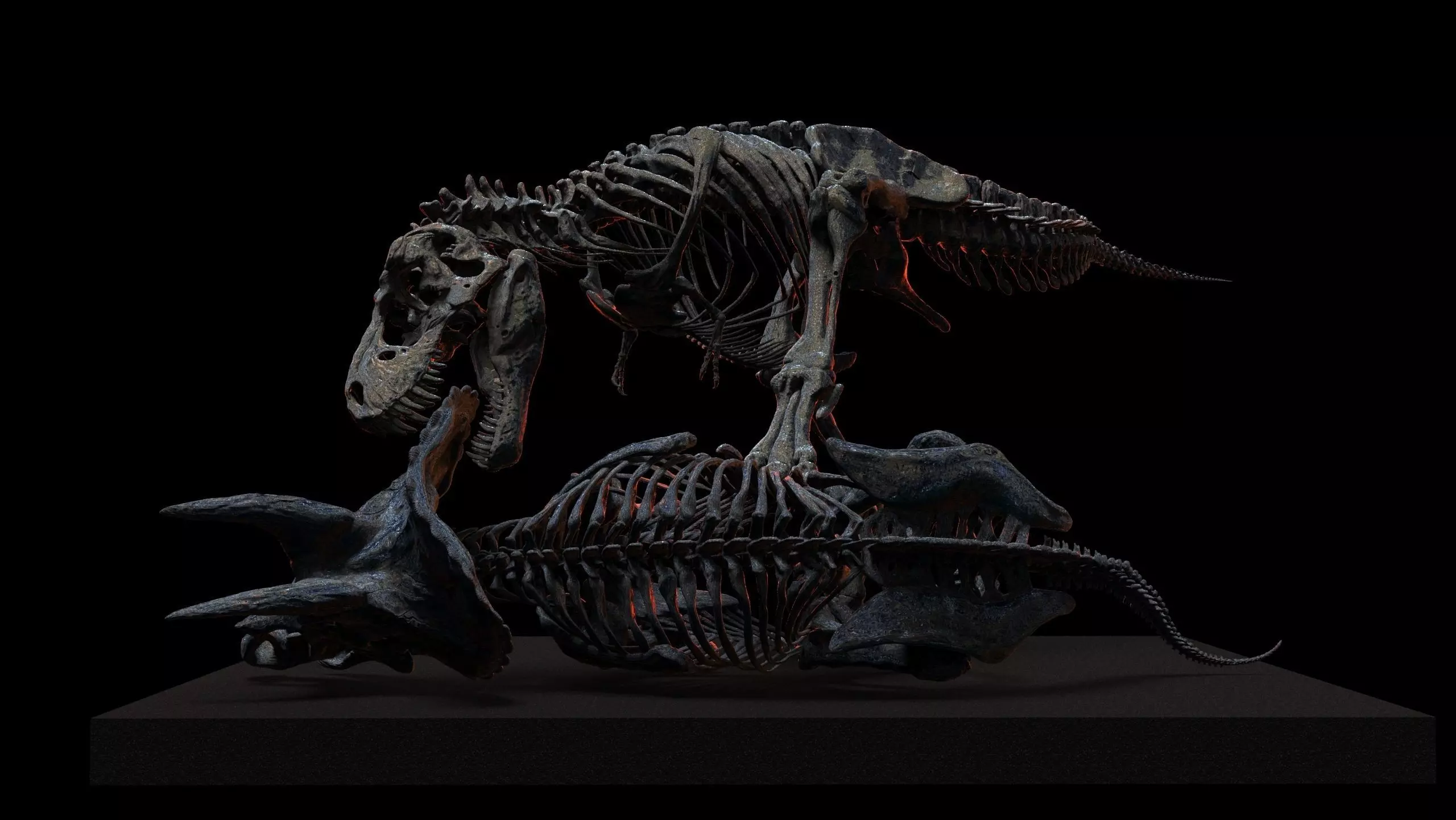 Tyrannosaurus vs triceratops v2 3D print model_0