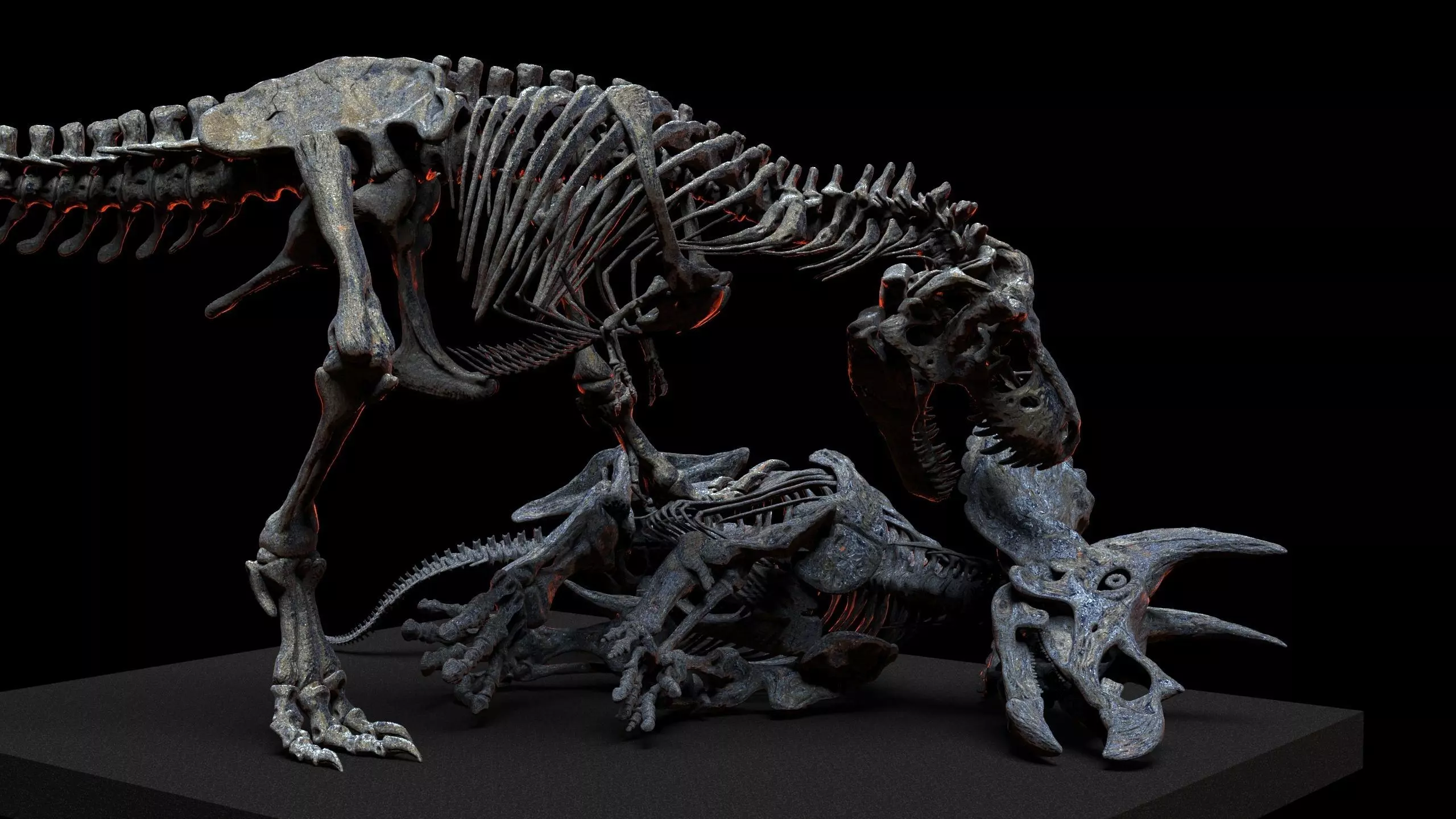 Tyrannosaurus vs triceratops v2 3D print model_6