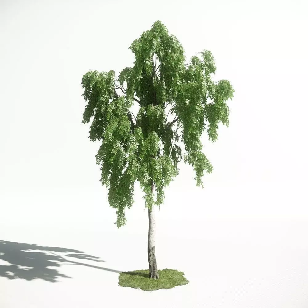Tree 18 amce1 3D model_0