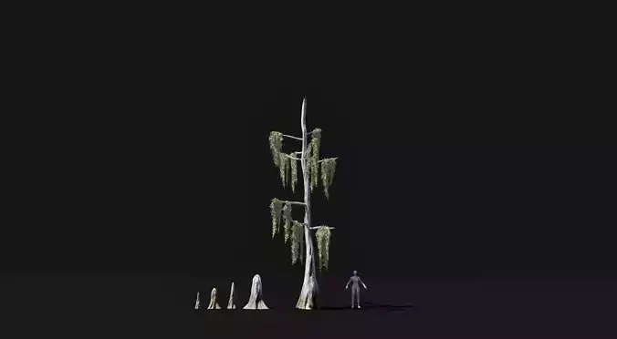 Realistic mid poly Bald Cypress Tree