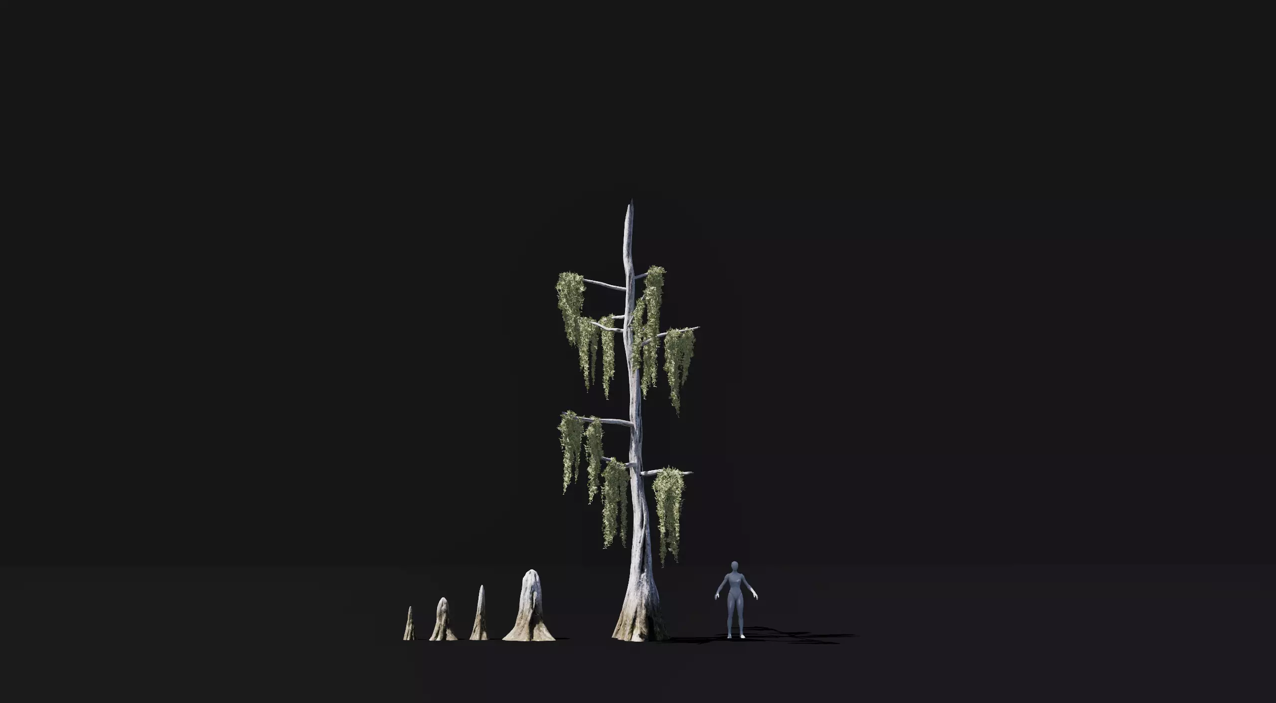 Realistic mid poly Bald Cypress Tree Low-poly 3D model_0