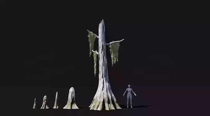 Realistic mid poly Bald Cypress Tree