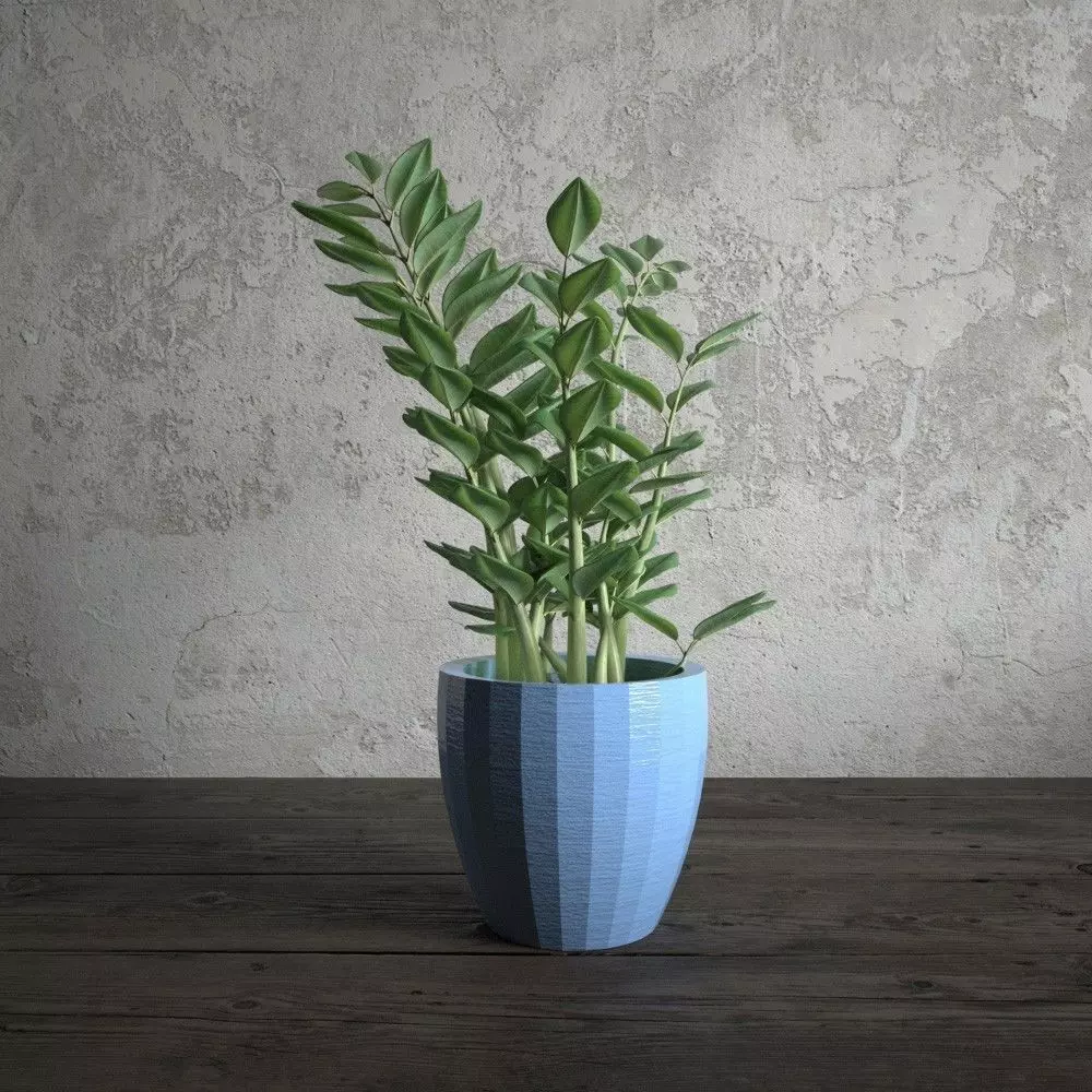 plant 34 am173 3D model_0