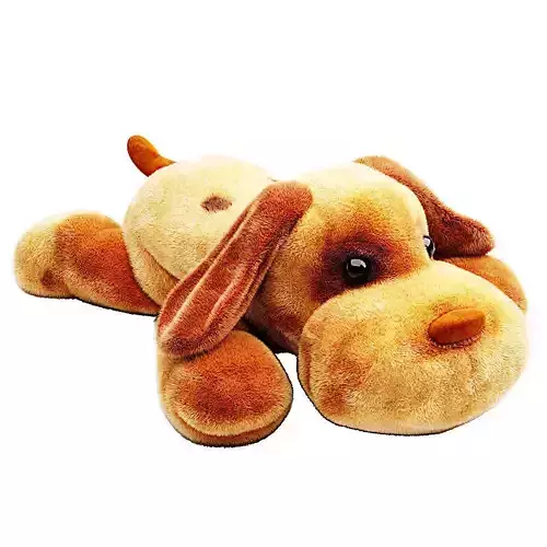 dog toy