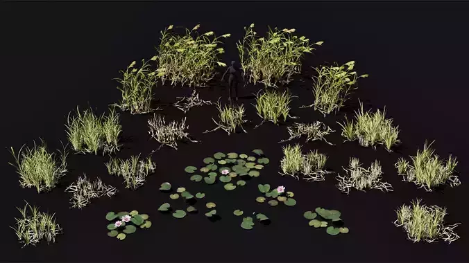 Riverside plants set low poly and game ready