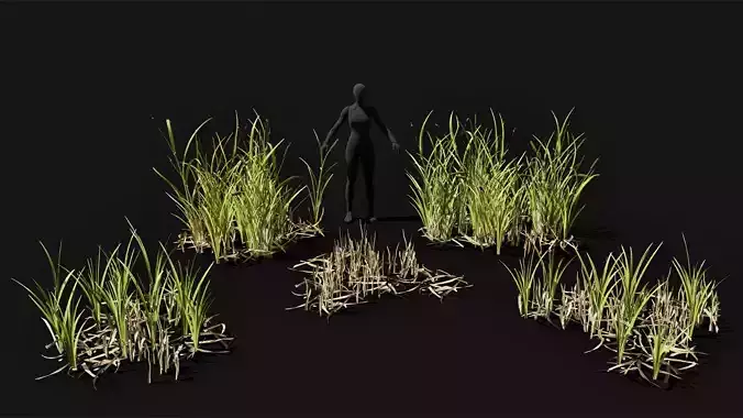 Cattails set low poly and game ready