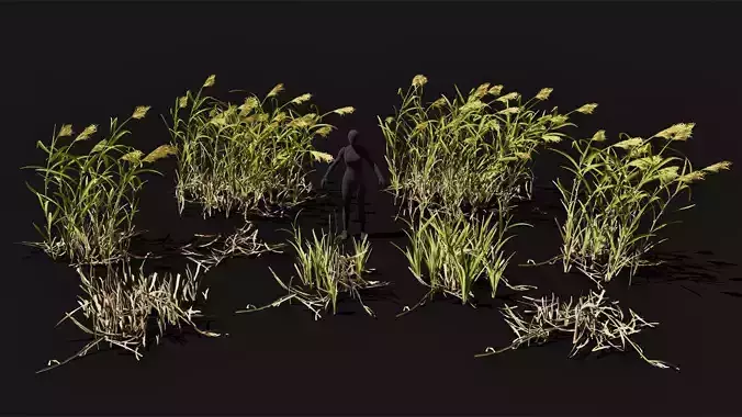 Reeds shrubs low poly game ready set