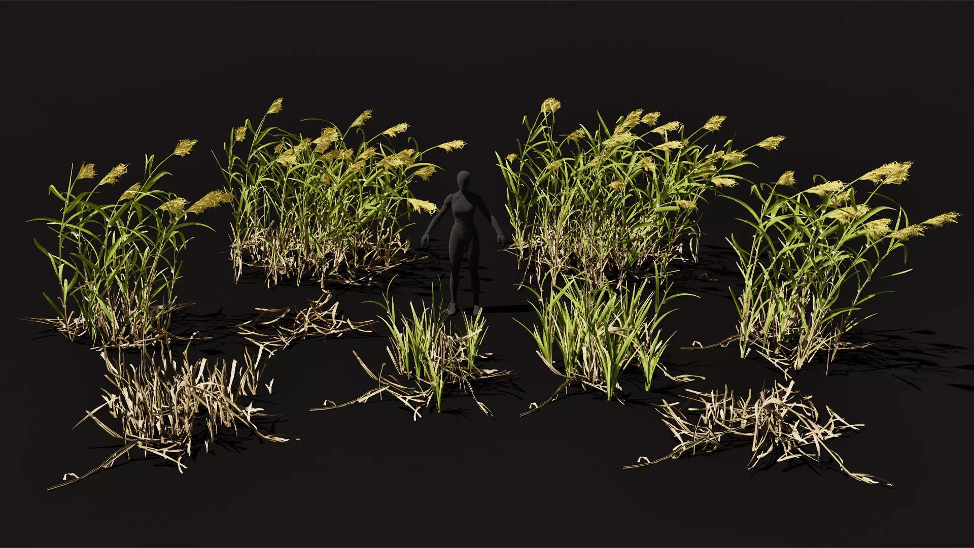 Reeds shrubs low poly game ready set Low-poly 3D model