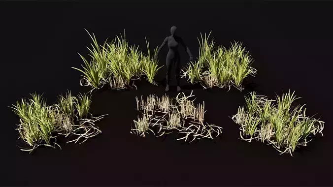 Swamp grass low poly game ready