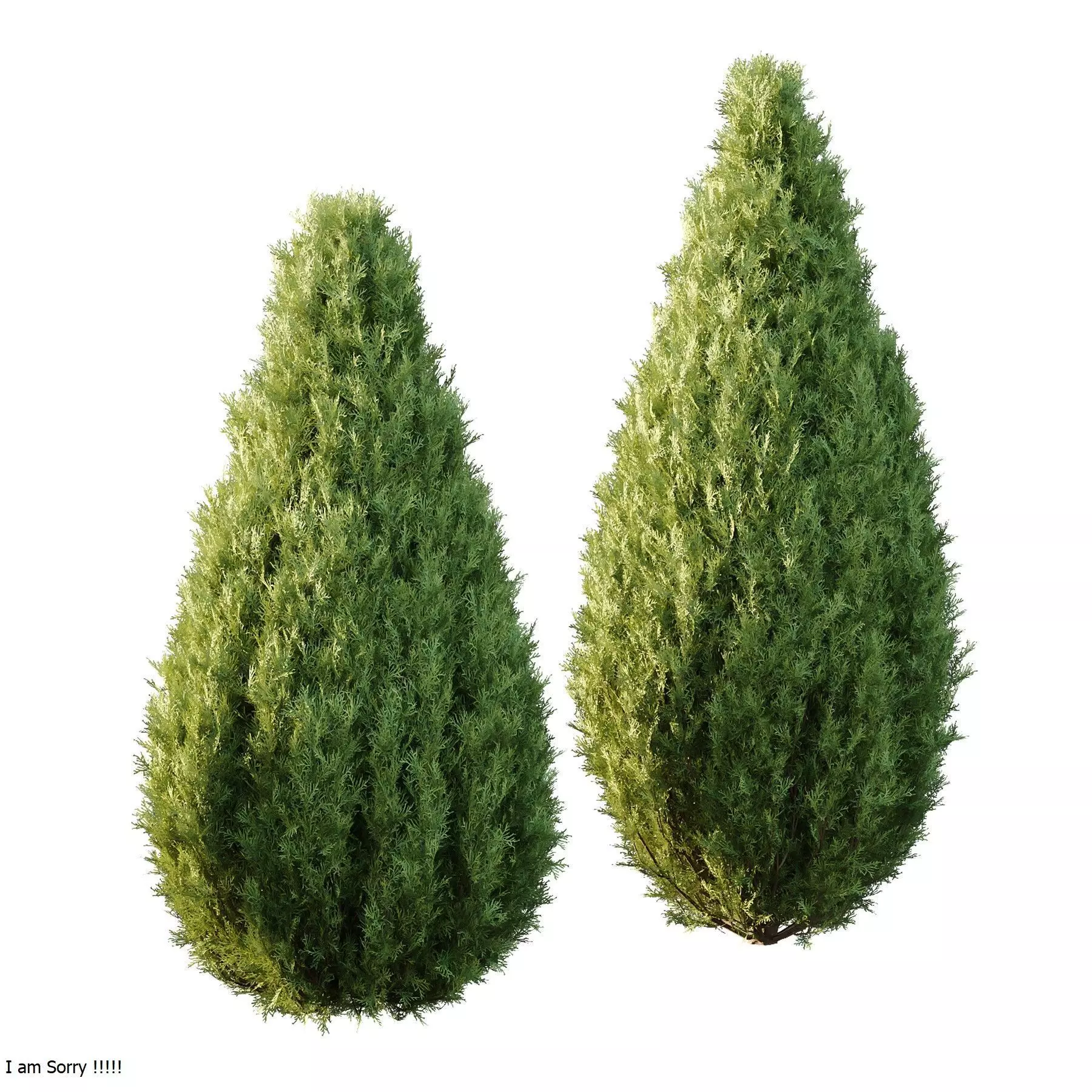 Excellent collection of Tree plants 17 Different Models 0020 _18