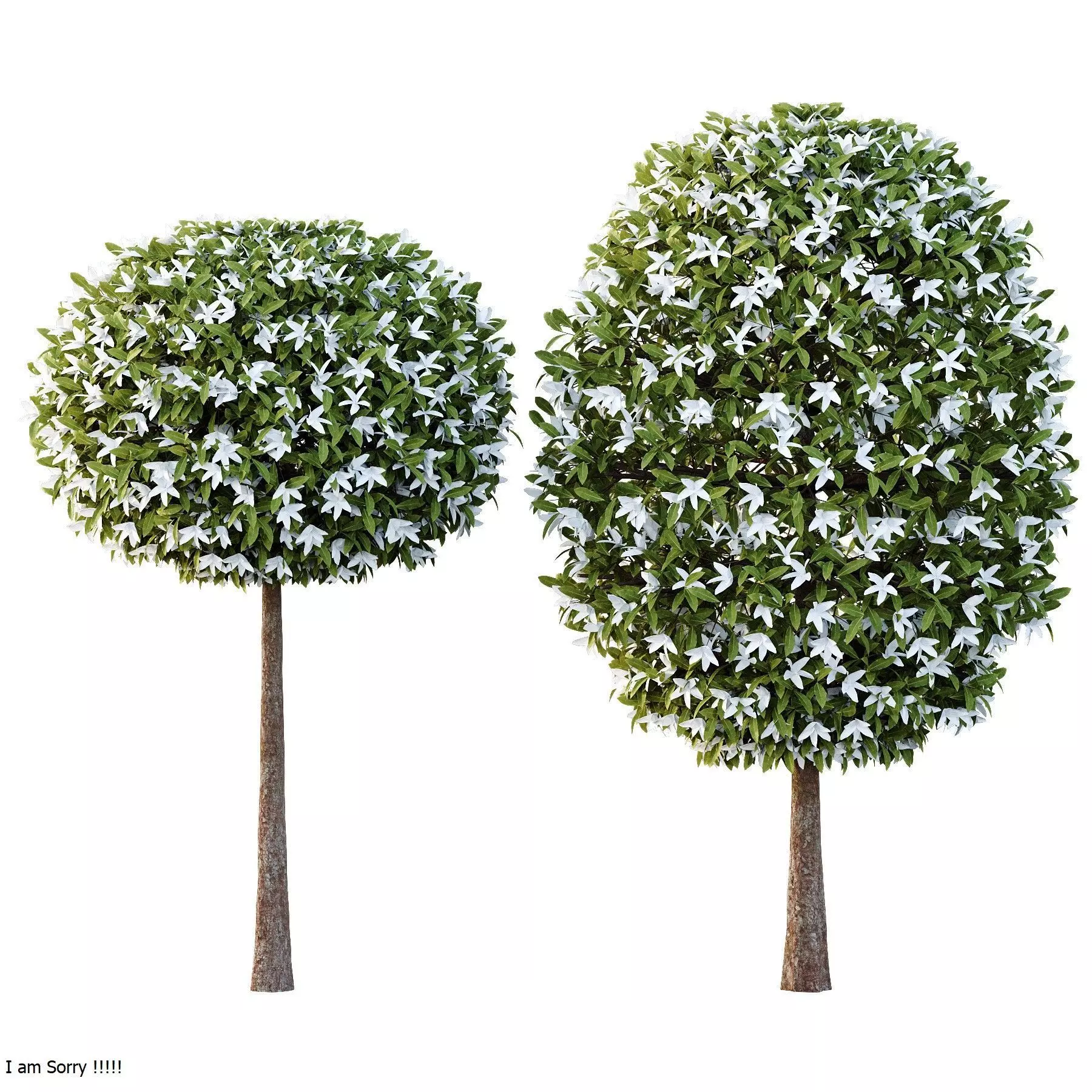 Excellent collection of Tree plants 17 Different Models 0020 _20