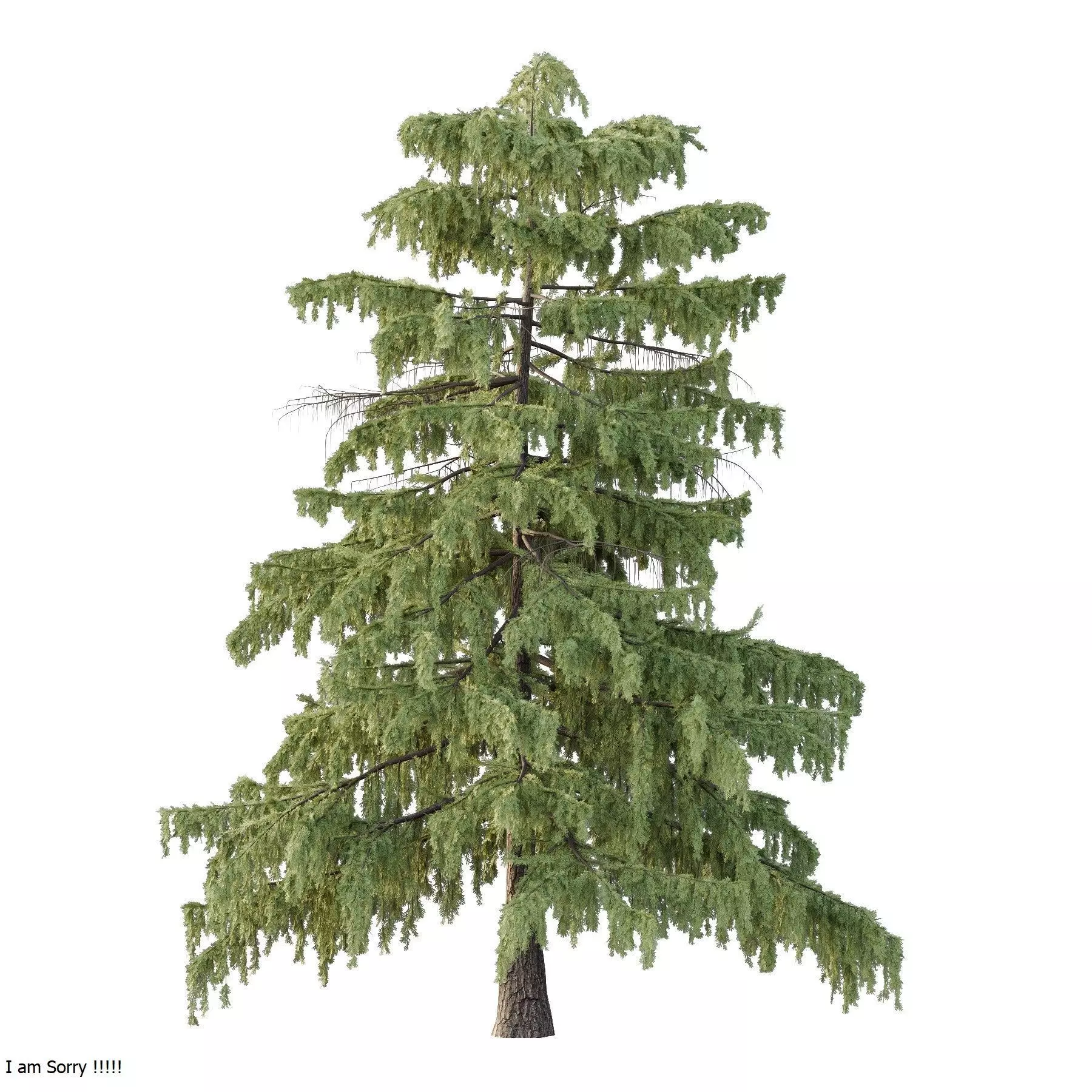 Excellent collection of Tree plants 17 Different Models 0020 _15