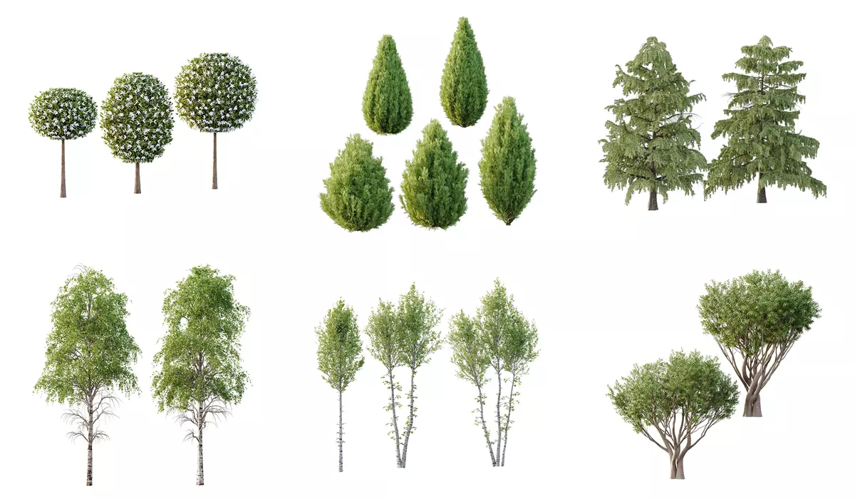 Excellent collection of Tree plants 17 Different Models 0020 _0