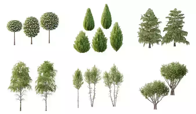 Excellent collection of Tree plants 17 Different Models 0020  Excellent collection of Tree plants 17 Different Models 0020