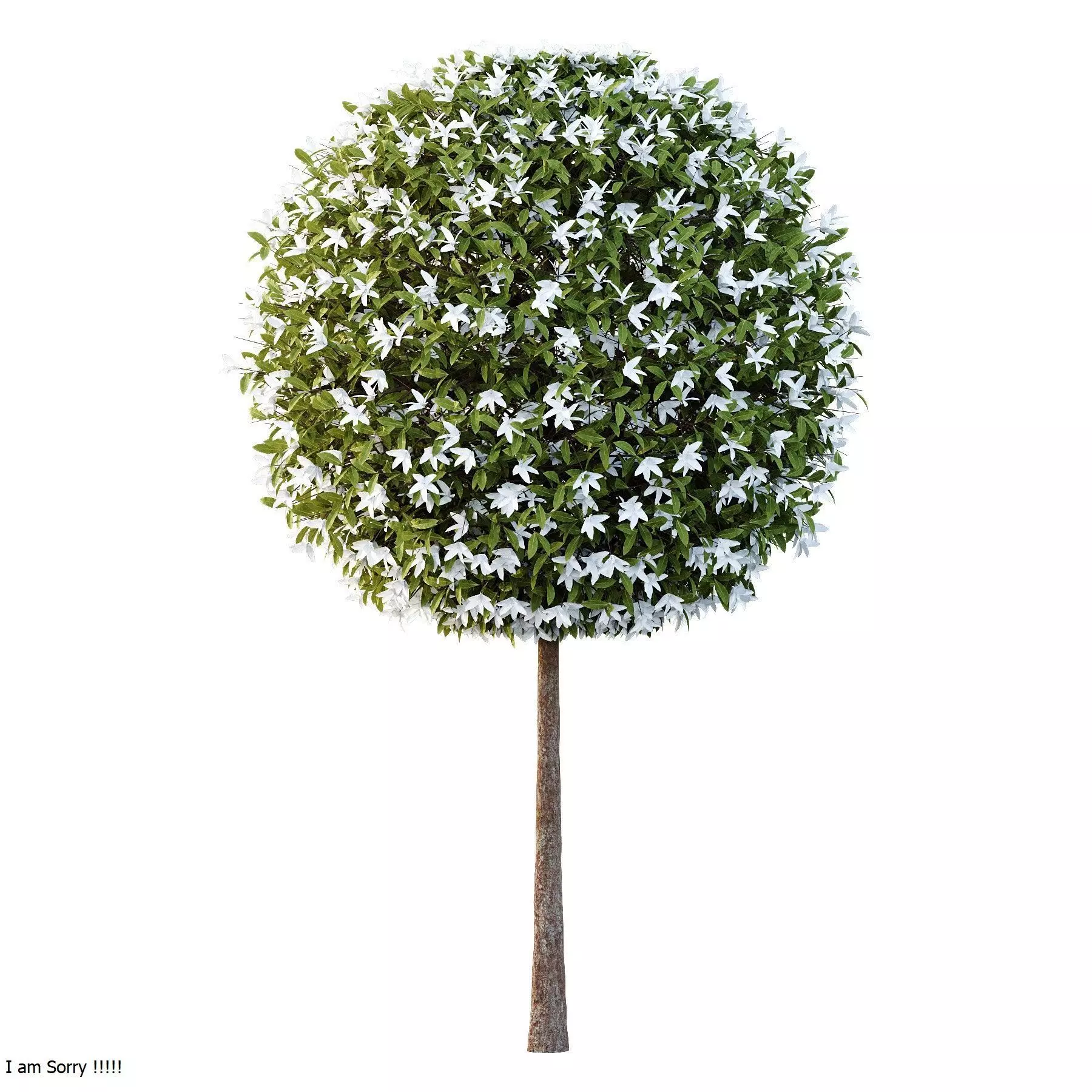 Excellent collection of Tree plants 17 Different Models 0020 _19