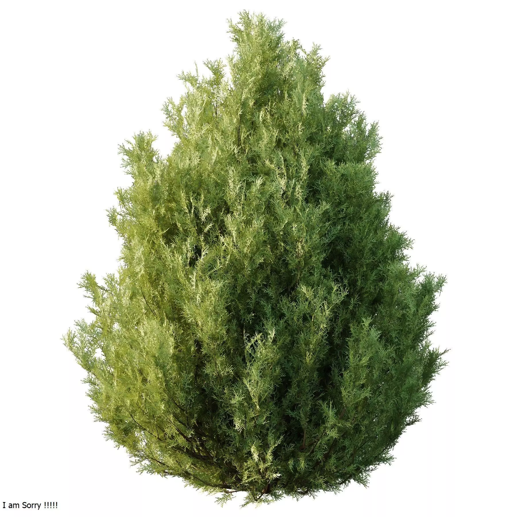 Excellent collection of Tree plants 17 Different Models 0020 _16