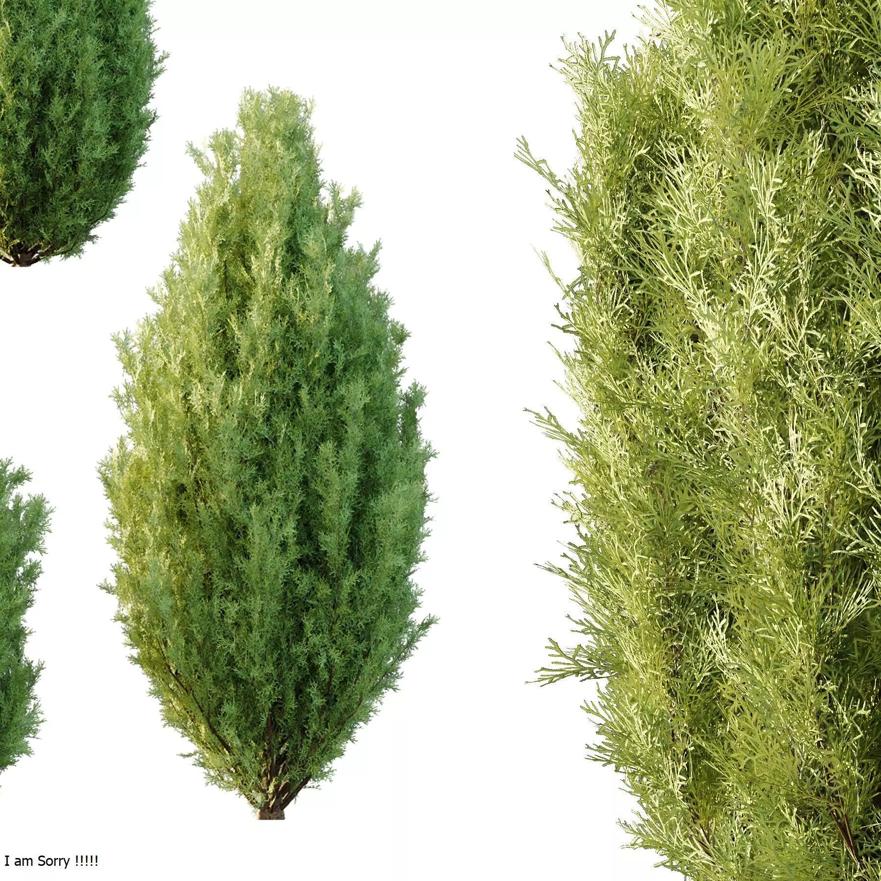 Excellent collection of Tree plants 17 Different Models 0020 _17