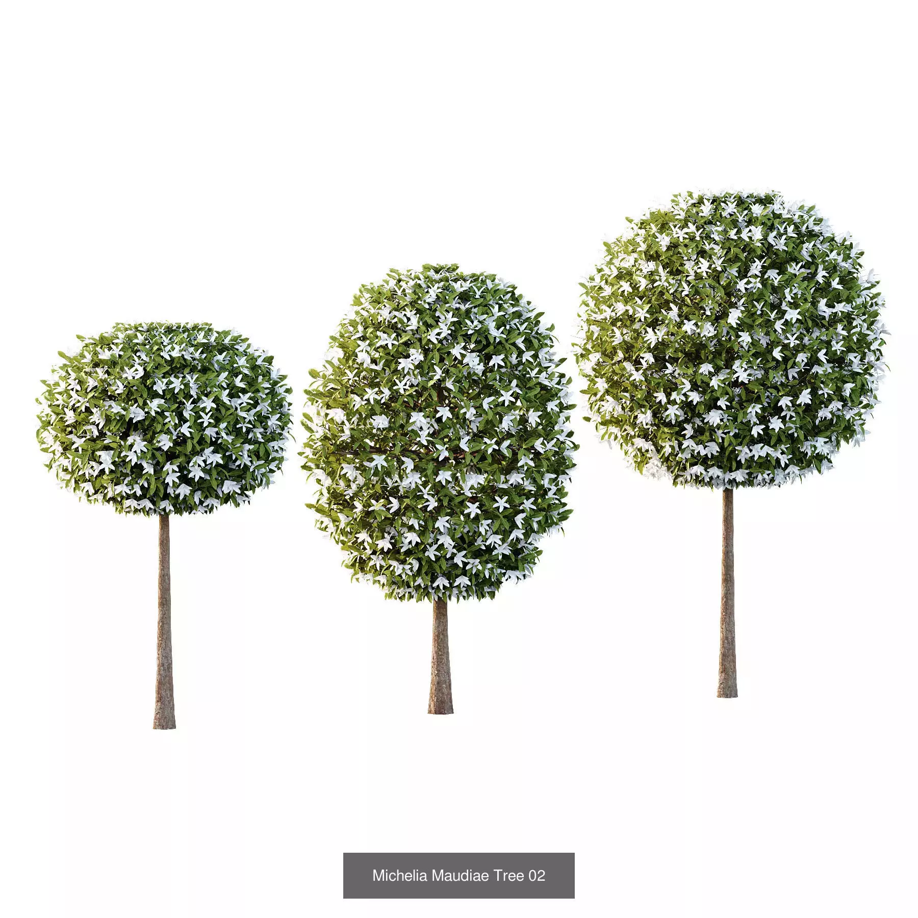 Excellent collection of Tree plants 17 Different Models 0020 _1