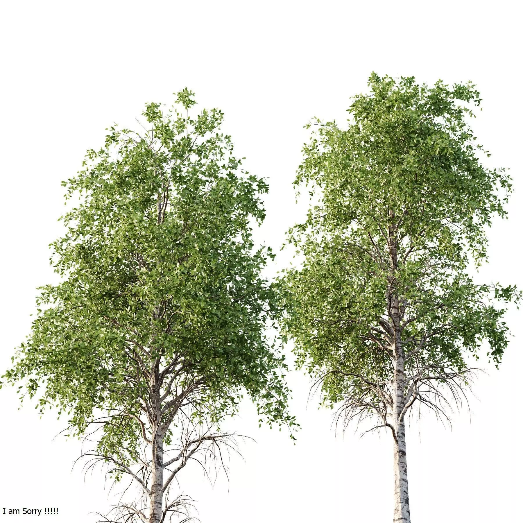 Excellent collection of Tree plants 17 Different Models 0020 _10