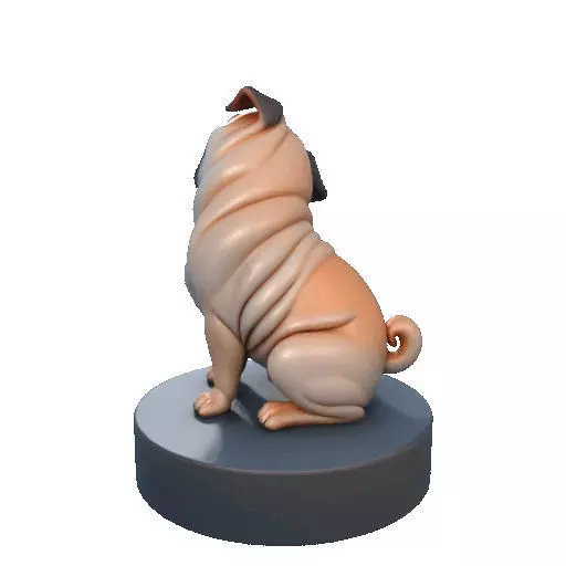 2642   Color Laughing Pug  3D  Printed Statue 3D print model_24