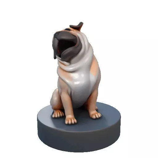 2642   Color Laughing Pug  3D  Printed Statue 3D print model_34