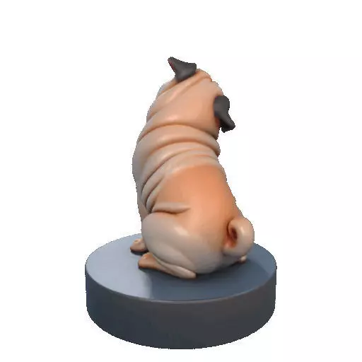 2642   Color Laughing Pug  3D  Printed Statue 3D print model_20