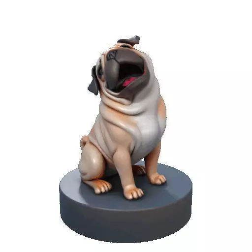 2642   Color Laughing Pug  3D  Printed Statue 3D print model_36