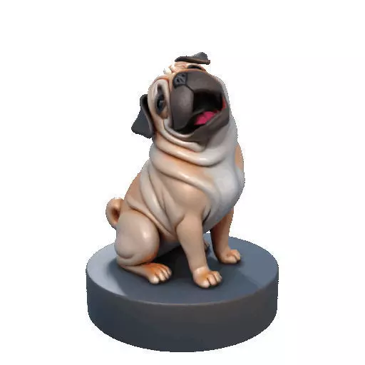 2642   Color Laughing Pug  3D  Printed Statue 3D print model_37