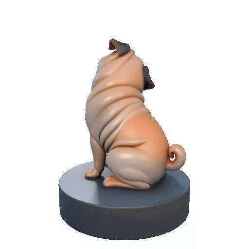2642   Color Laughing Pug  3D  Printed Statue 3D print model_22