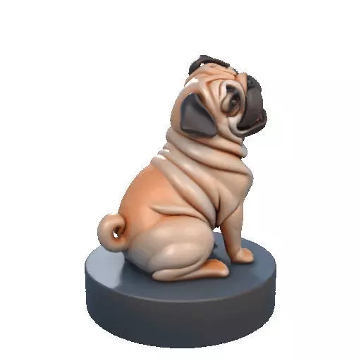 2642   Color Laughing Pug  3D  Printed Statue 3D print model_12