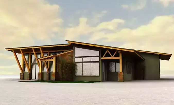 HOUSE modern home with wooden roof