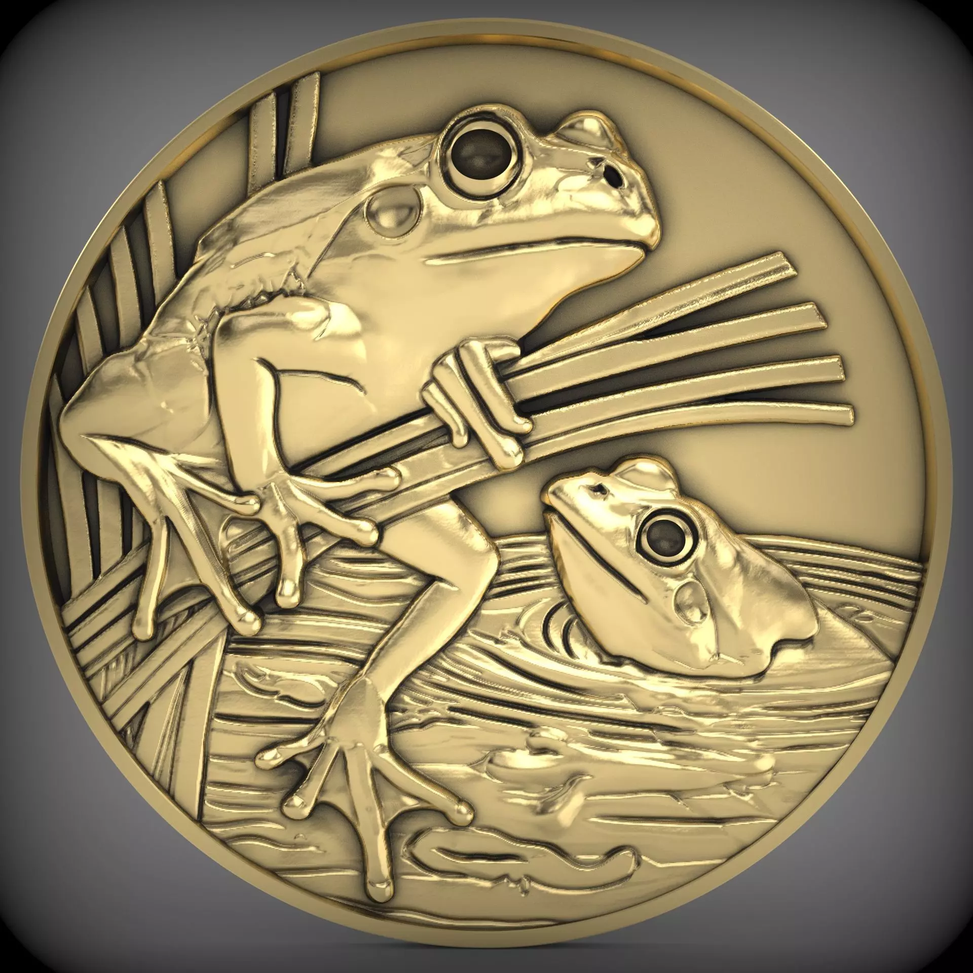 frog coin CNC Relief Model 3D print model_1