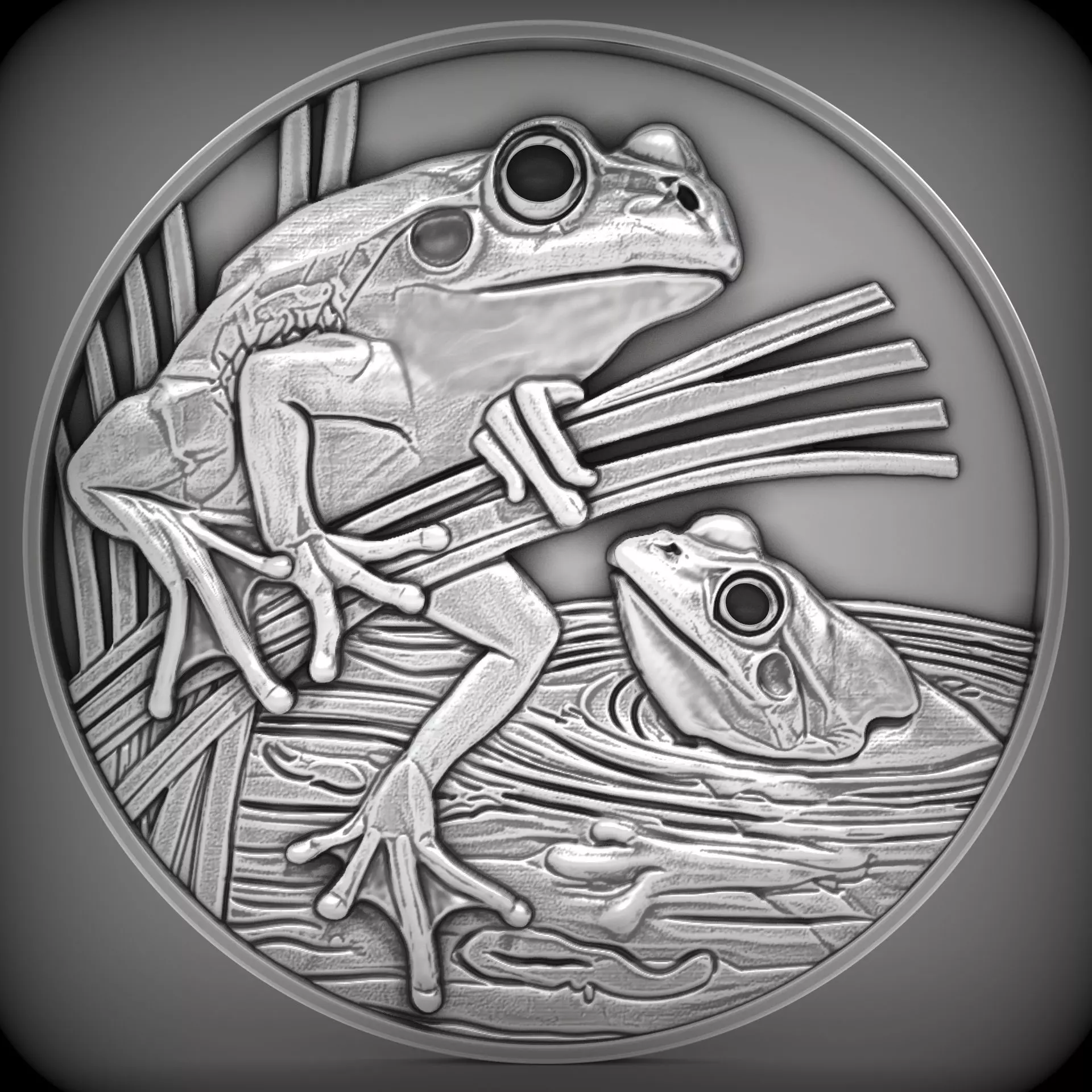frog coin CNC Relief Model 3D print model_0