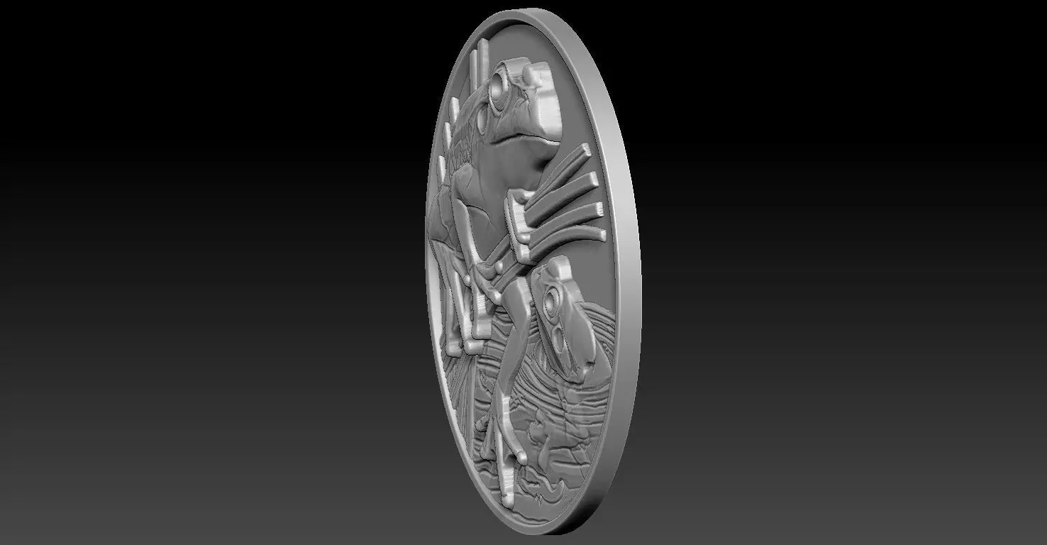 frog coin CNC Relief Model 3D print model_4