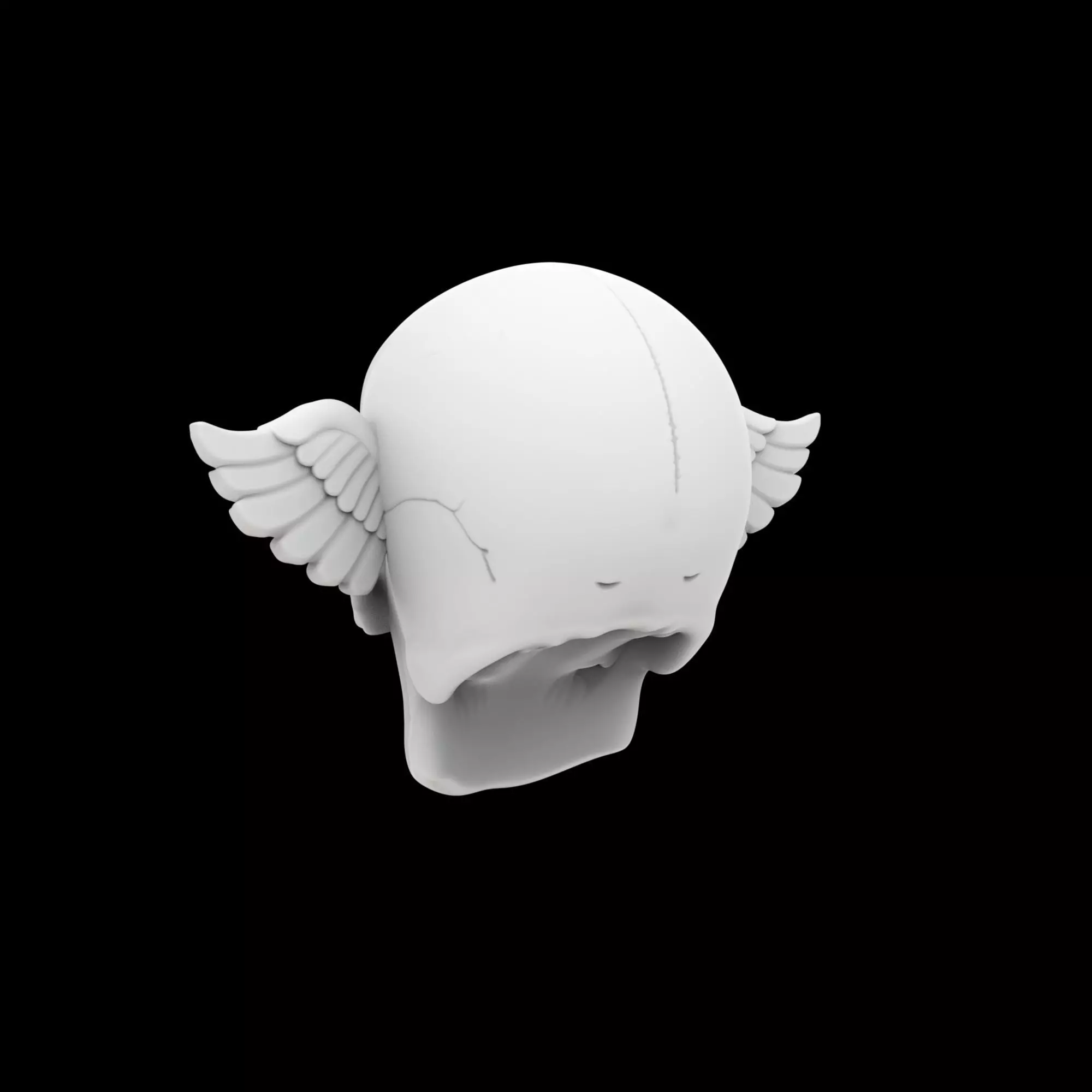 Basic Skull With Small Wings 3D Print Model 3D print model_2