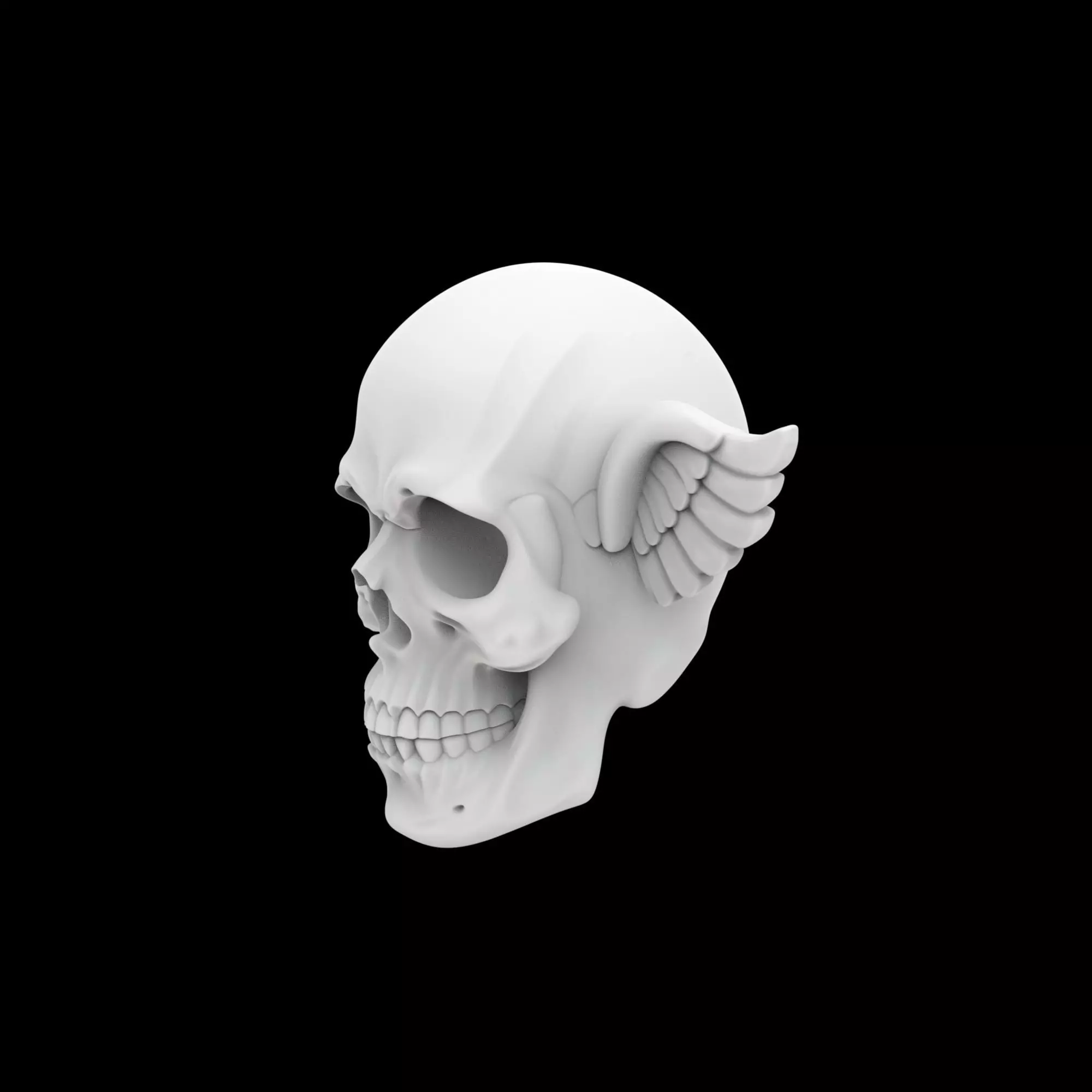 Basic Skull With Small Wings 3D Print Model 3D print model_1