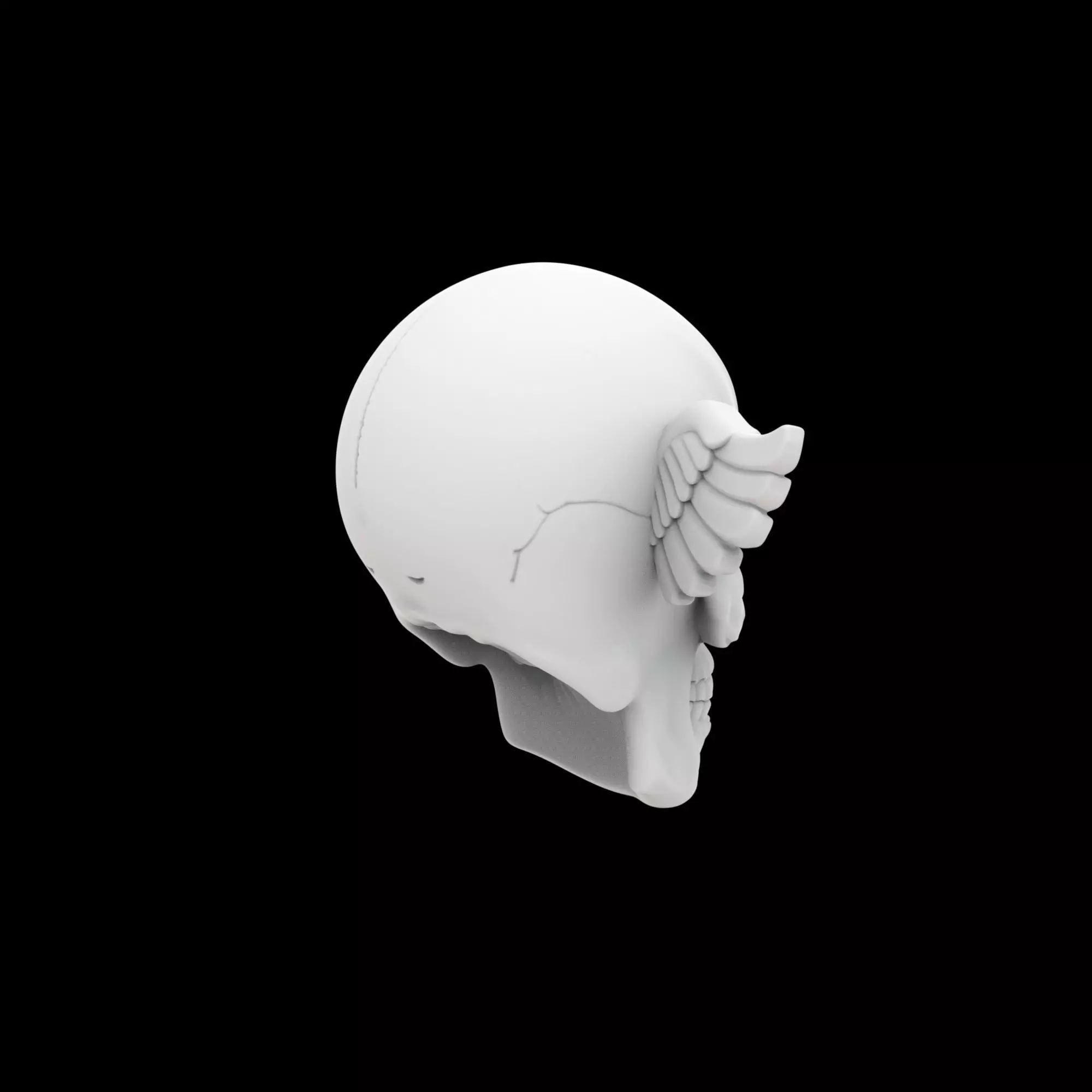 Basic Skull With Small Wings 3D Print Model 3D print model_3