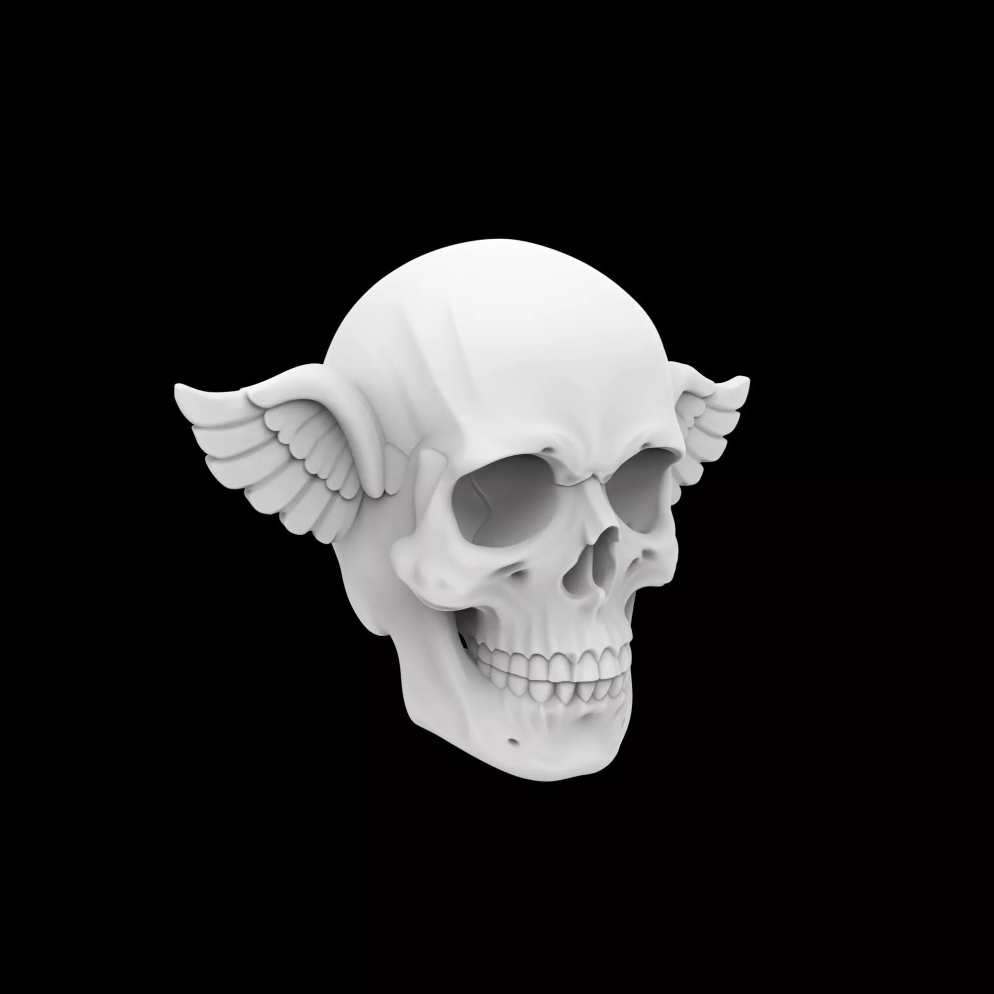Basic Skull With Small Wings 3D Print Model 3D print model_0