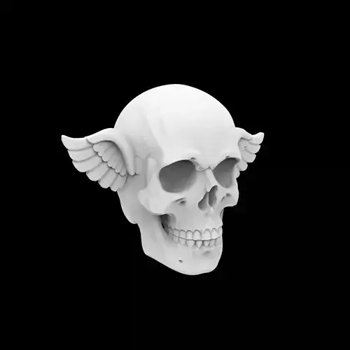 Basic Skull With Small Wings 3D Print Model