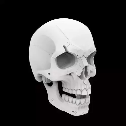 Minimalist Mechanical Skull 3D Print Model