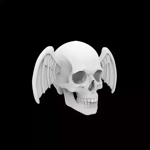 Plain Skull with Simple Wings 3D Print Model