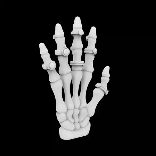 Skeleton Hand Jewelry Stand 3D Print Model
