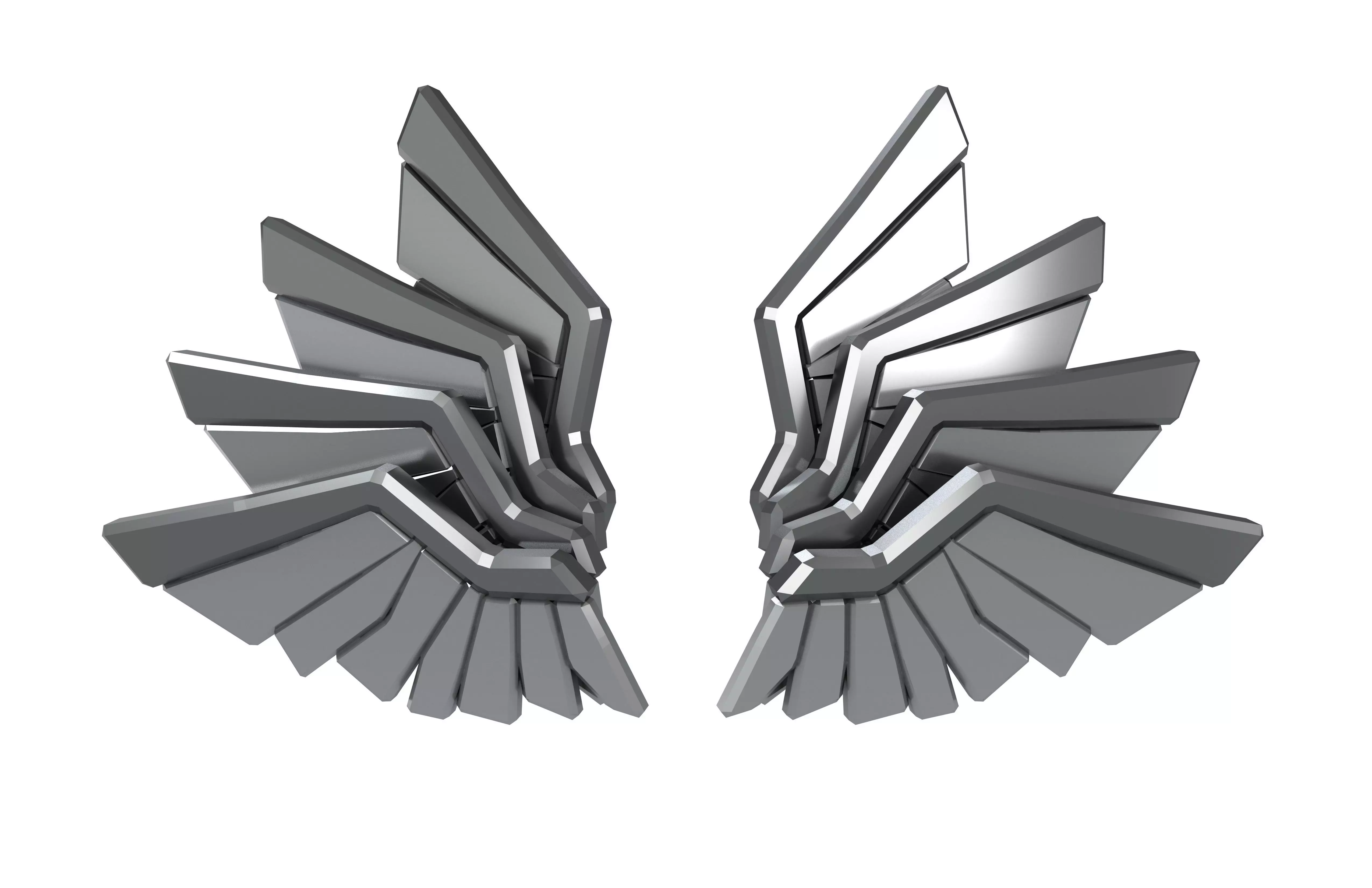 Low Poly Wings v11 008 Low-poly 3D model_2