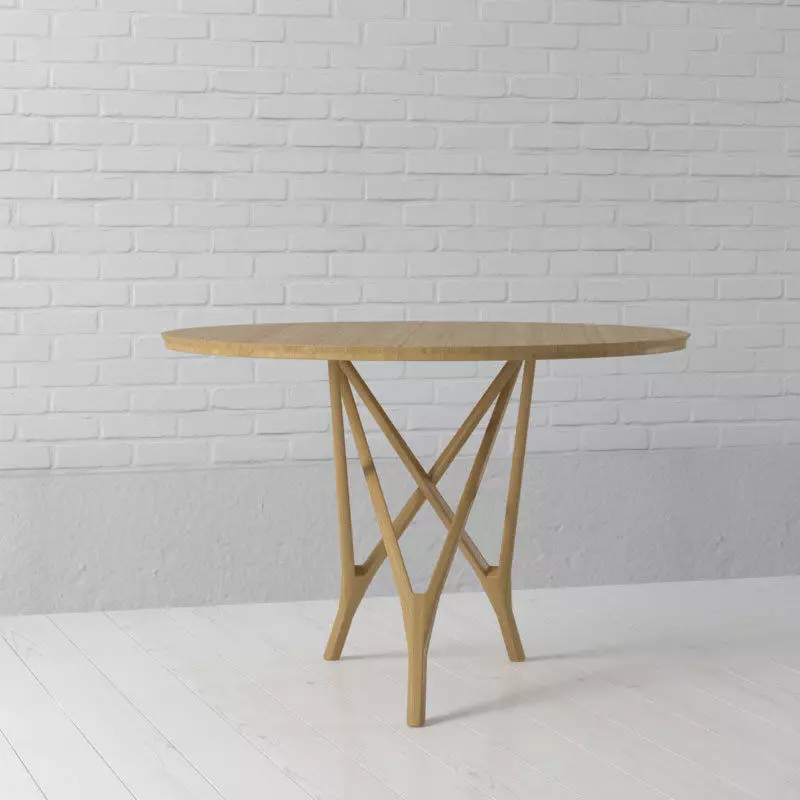 table 13 am157 3D model_0