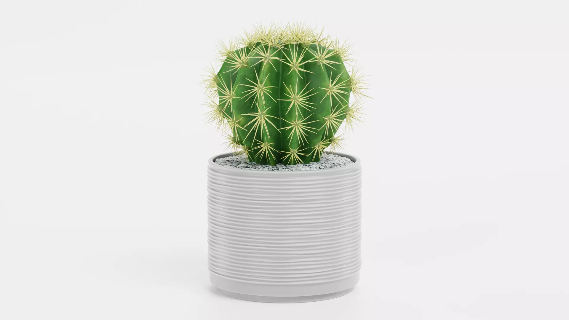 Golden Barrel Cactus in Pot Low-poly 3D model_2