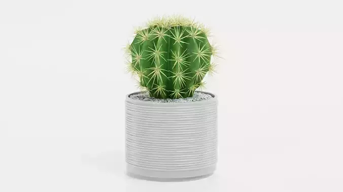 Golden Barrel Cactus in Pot Low-poly 3D model 3