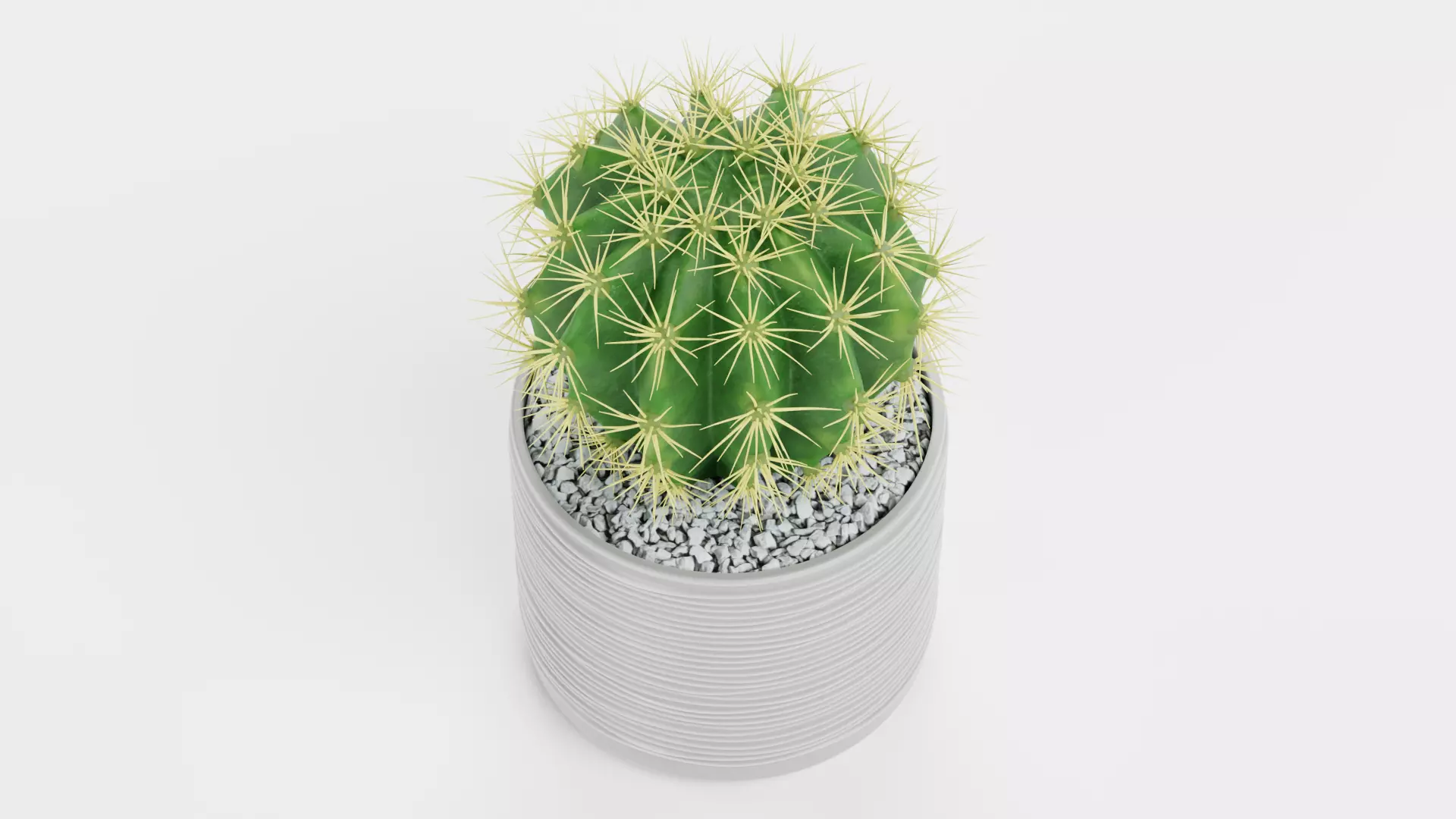 Golden Barrel Cactus in Pot Low-poly 3D model_4