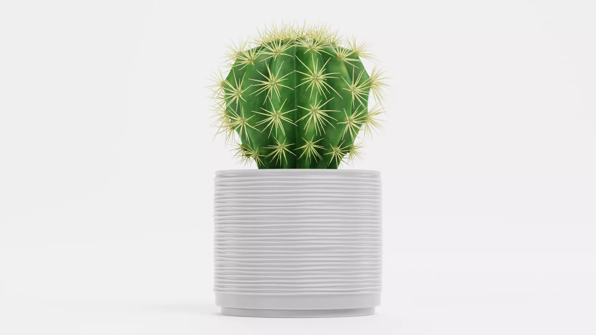 Golden Barrel Cactus in Pot Low-poly 3D model_1