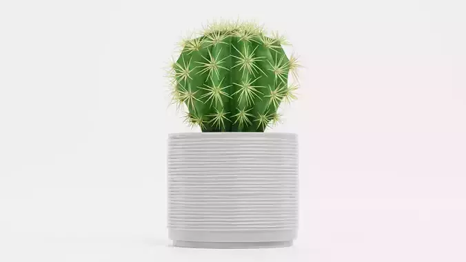 Golden Barrel Cactus in Pot Low-poly 3D model 2
